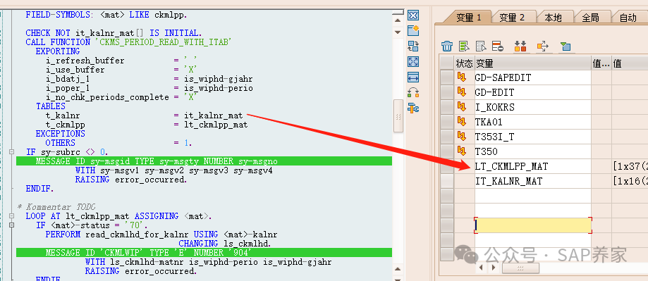 SAP 顾问用 Debug 解决问题上节课详细说明 - 封面图