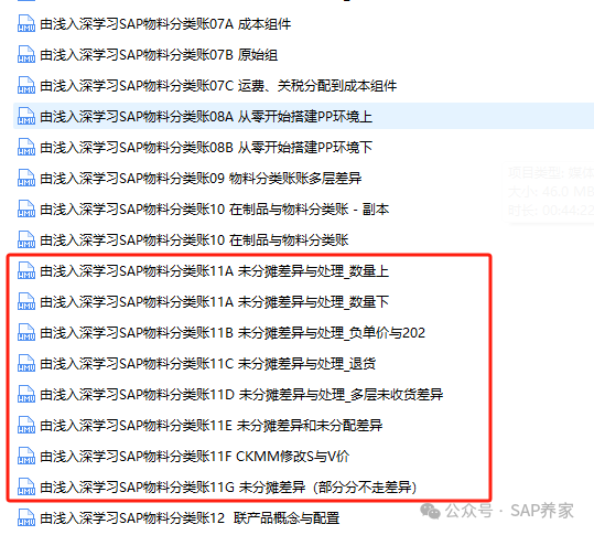 SAPFICO 模块入门幼儿园班08CO 征服财务 - 封面图