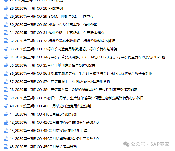SAPFICO 模块入门幼儿园班08CO 征服财务 - 封面图