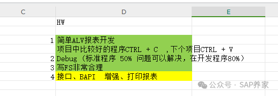 SAPSE16N 数据超过241468条怎么办 - 封面图