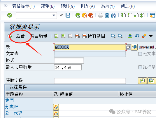 SAPSE16N 数据超过241468条怎么办 - 封面图
