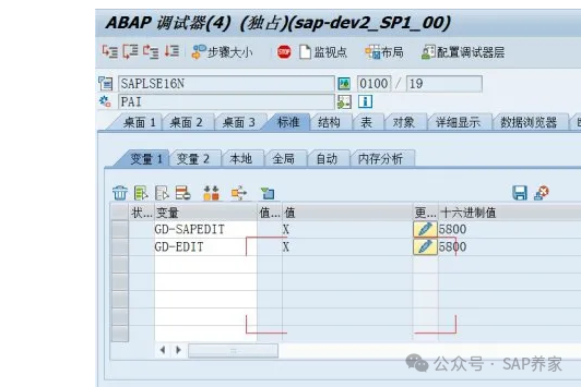 SAPSE16N 数据超过241468条怎么办 - 封面图