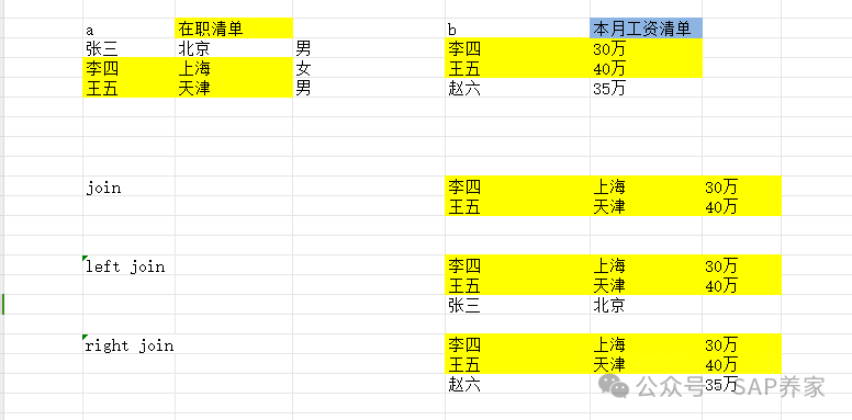 SAPSE16N 数据超过241468条怎么办 - 封面图