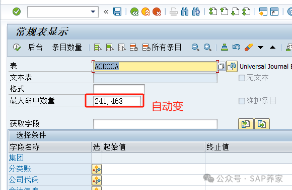 SAPSE16N 数据超过241468条怎么办 - 封面图