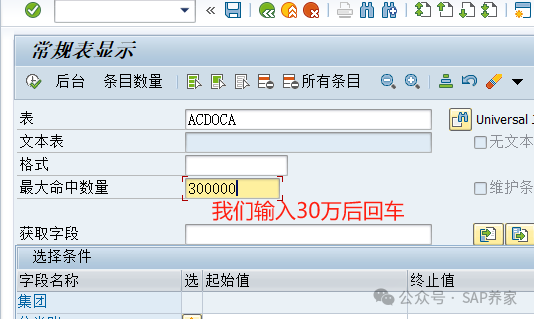 SAPSE16N 数据超过241468条怎么办 - 封面图