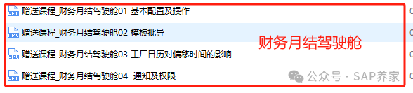 S4HANA 由浅入深学习 SAP 物料账目录 - 封面图