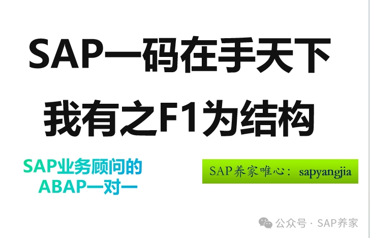 SAP 一码在手天下我有之 F1为结构 - 封面图