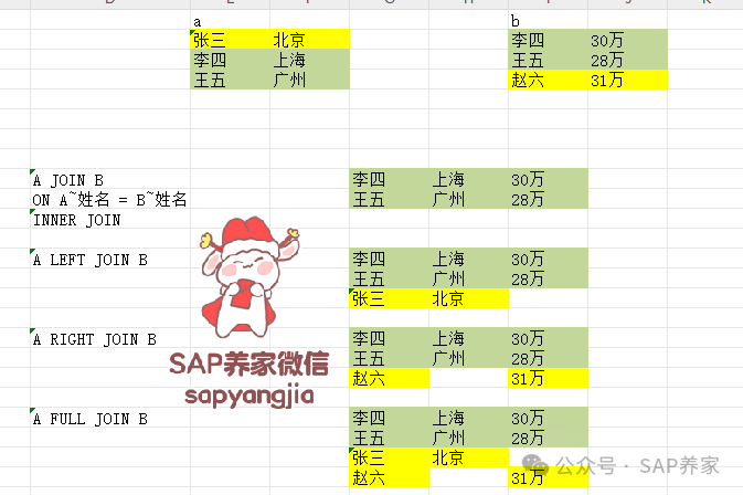 SAP 一码在手天下我有之 F1为结构 - 封面图