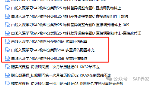 SAP 简易化集团评估 - 封面图