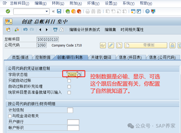 SAPFICO 模块入门小学班01第一笔会计凭证 - 封面图