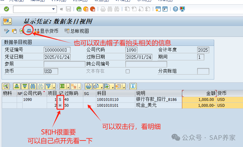 SAPFICO 模块入门小学班01第一笔会计凭证 - 封面图