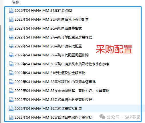 2022年 SAPS4HANAMM 全套不断更新 - 封面图