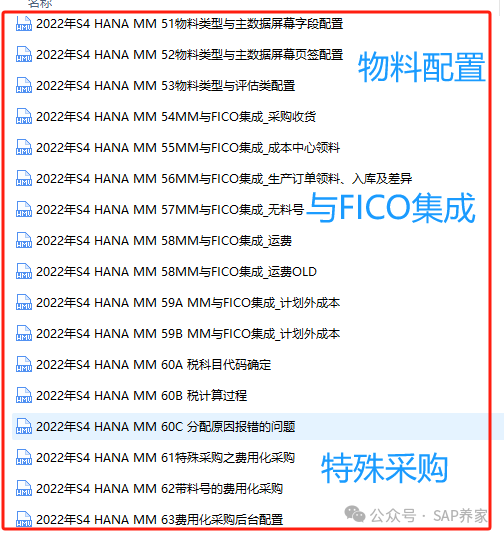 2022年 SAPS4HANAMM 全套不断更新 - 封面图