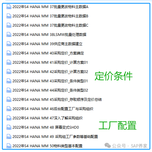 2022年 SAPS4HANAMM 全套不断更新 - 封面图