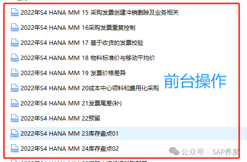 2022年 SAPS4HANAMM 全套不断更新 - 封面图