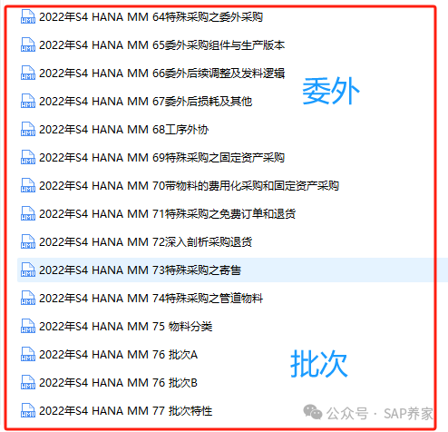 2022年 SAPS4HANAMM 全套不断更新 - 封面图