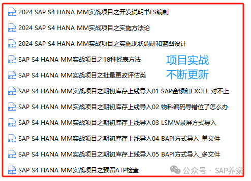 2022年 SAPS4HANAMM 全套不断更新 - 封面图