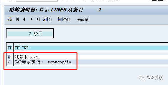 SAP 开发说明书 FS 中长文本改怎么取 - 封面图