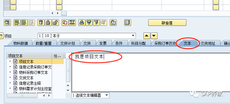 SAP 开发说明书 FS 中长文本改怎么取 - 封面图