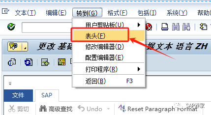 SAP 开发说明书 FS 中长文本改怎么取 - 封面图