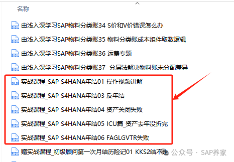 SAP 年结手册 S4HANA 版本第1季 - 封面图