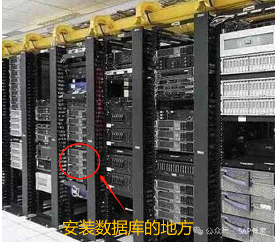 SAP 中底表的由来 - 封面图