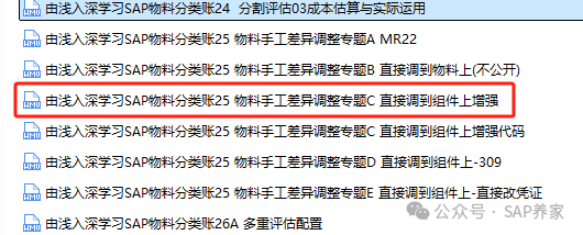 业务方案之碳排放对 SAP 的影响 - 封面图