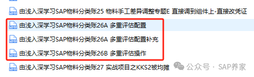 业务方案之碳排放对 SAP 的影响 - 封面图