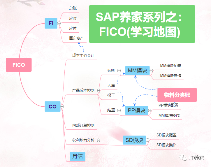 S4HANAFICO 提高篇 - 封面图