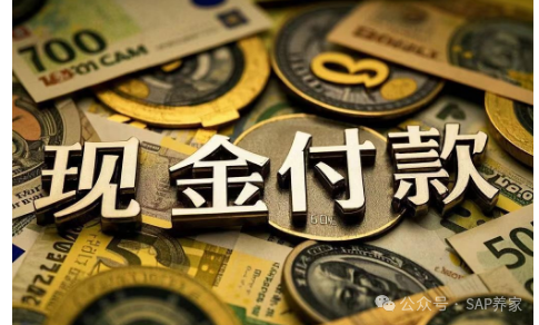 SAPFICO 模块入门幼儿园班07会计分录干货 - 封面图