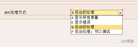 SAP 所有模块顾问都必须懂的 BDC - 封面图