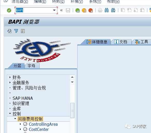 SAP 所有模块顾问都必须懂的 BAPI - 封面图