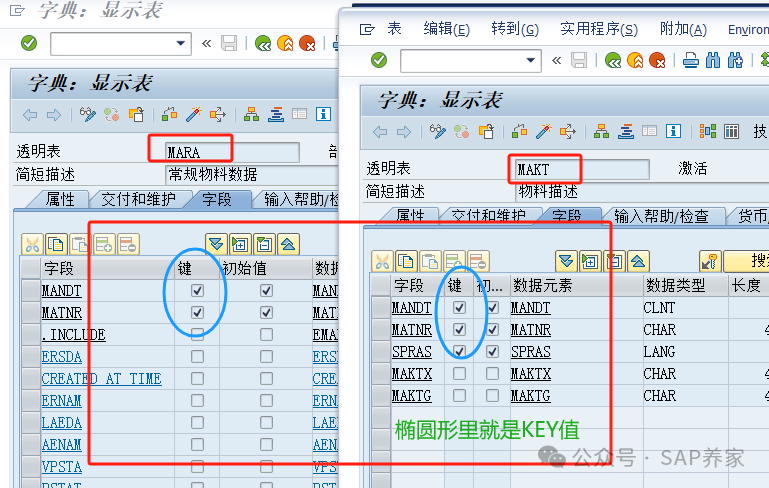 SAP 开发说明书 FS 该怎么写 - 封面图