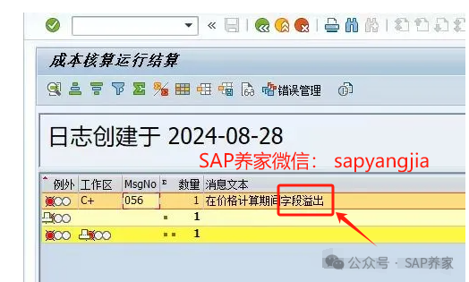 SAP 数据溢出错误一眼就看出思路有的人 - 封面图