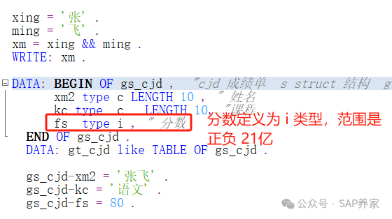 SAP 数据溢出错误一眼就看出思路有的人 - 封面图