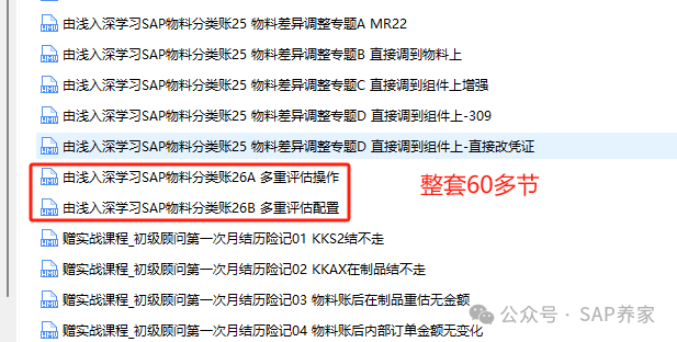 SAP 物料分类账之多重评估 - 封面图