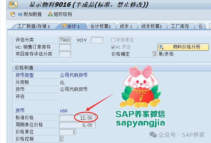 SAP 上线三大难题之一 - 封面图