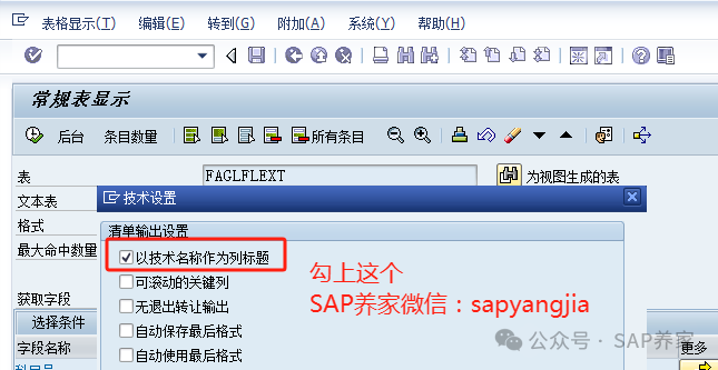 SAPFICO 模块科目余额 FS 该怎么写 - 封面图