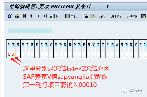 SAPBAPI 案例分析所有模块顾问 - 封面图