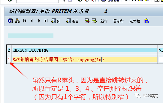 SAPBAPI 案例分析所有模块顾问 - 封面图