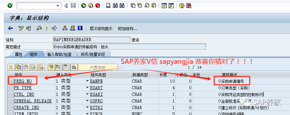 SAPBAPI 案例分析所有模块顾问 - 封面图