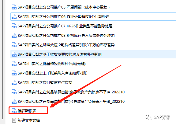 SAP 俄罗斯报表是什么 - 封面图