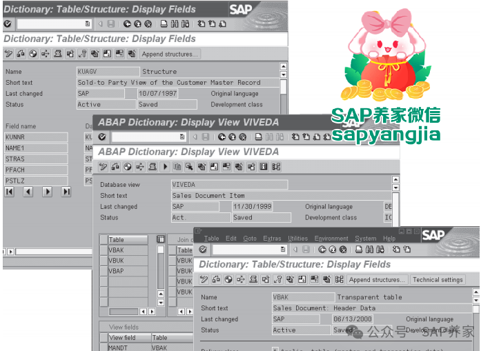 SAP18种根据屏幕字段找表方法 - 封面图