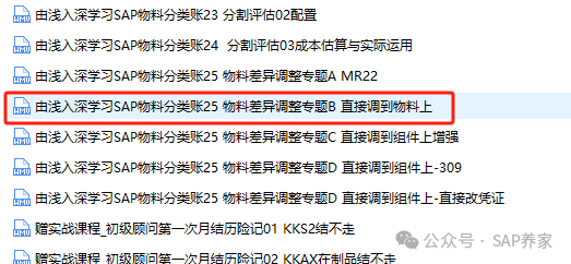 SAP 物料分类账之物料差异调整专题 - 封面图
