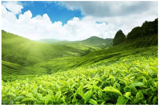 各国民宿的特质，你来了解一下