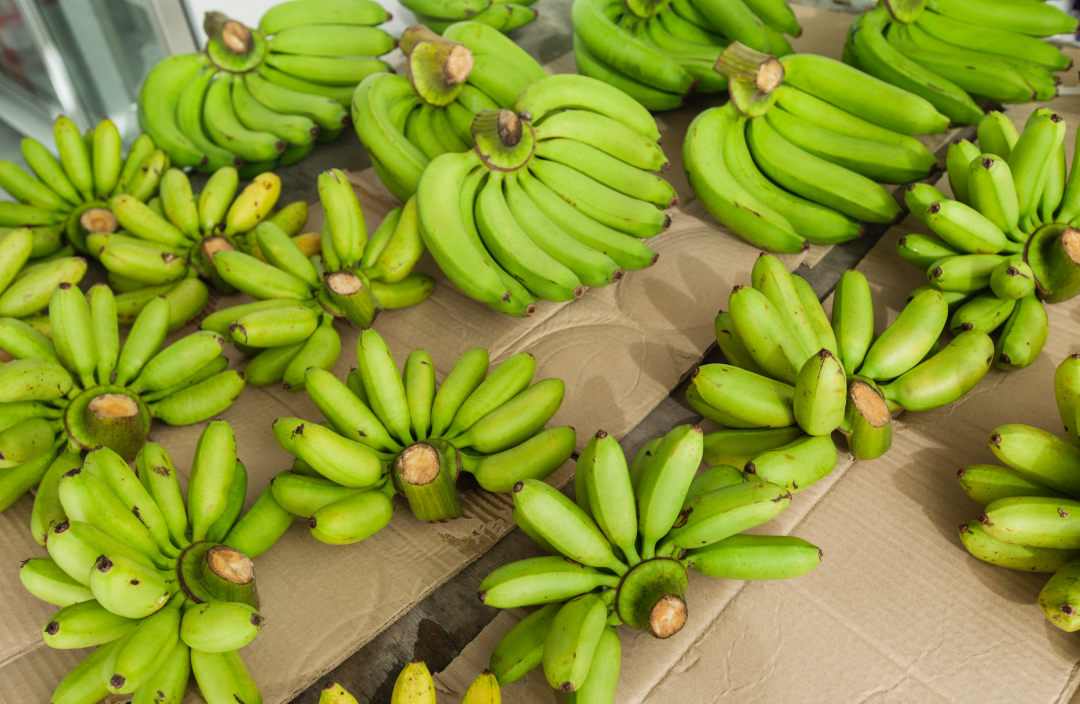 “工位上种香蕉”，就不“蕉绿”了吗？