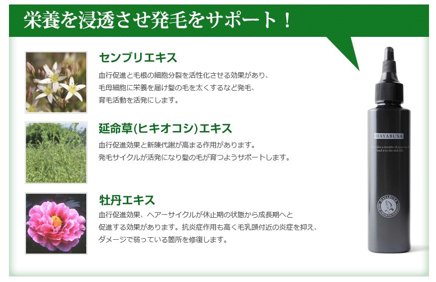 彻底告别脱发 拿下日本政府认证的育发神器 让你不再 秃 如其来 淘大阪 微信公众号文章阅读 Wemp