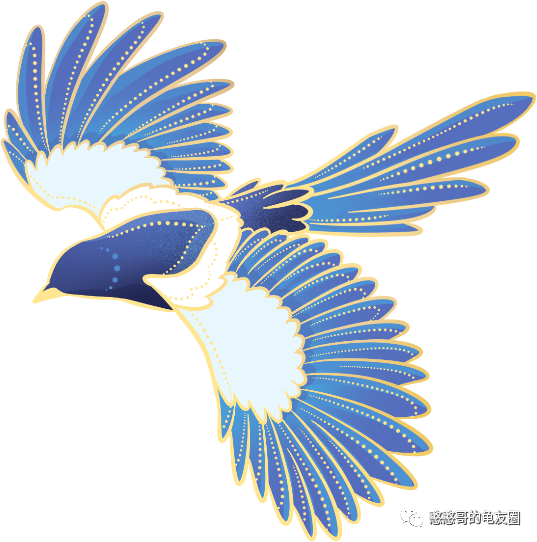 花龟是什么龟？花龟是什么品种