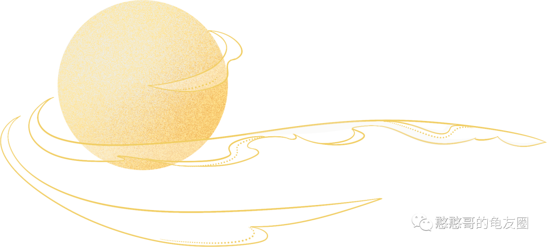 花龟是什么龟？花龟是什么品种