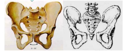 产后宝妈们必须了解的骨盆“真相”！
